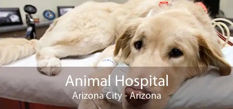 Animal Hospital Arizona City - Arizona
