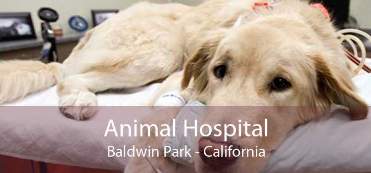 Animal Hospital Baldwin Park - California