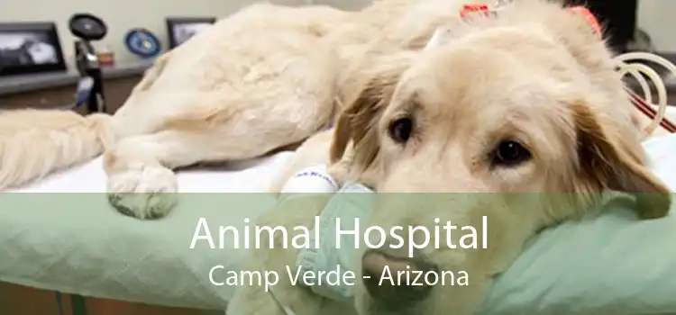 Animal Hospital Camp Verde - Arizona