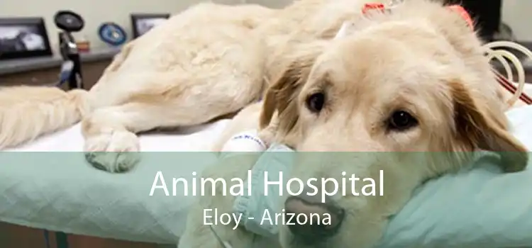 Animal Hospital Eloy - Arizona