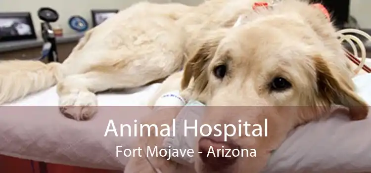 Animal Hospital Fort Mojave - Arizona