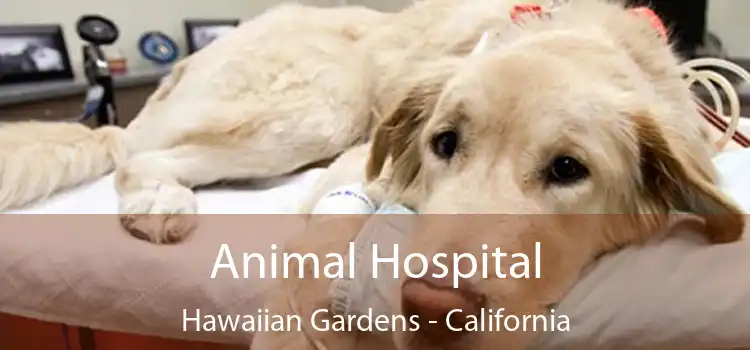 Animal Hospital Hawaiian Gardens - California