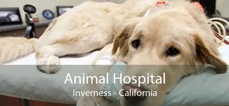 Animal Hospital Inverness - California