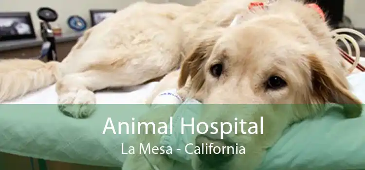 Animal Hospital La Mesa - California