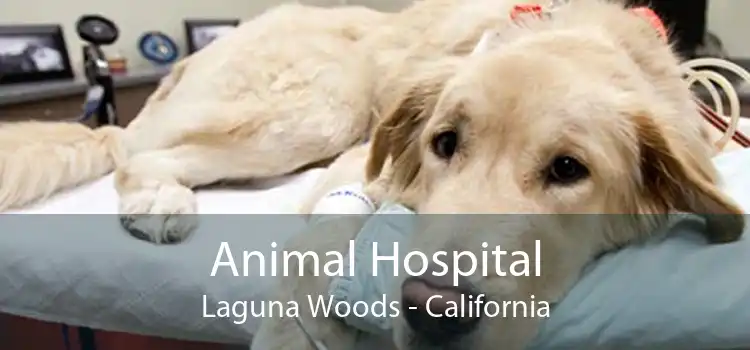 Animal Hospital Laguna Woods - California