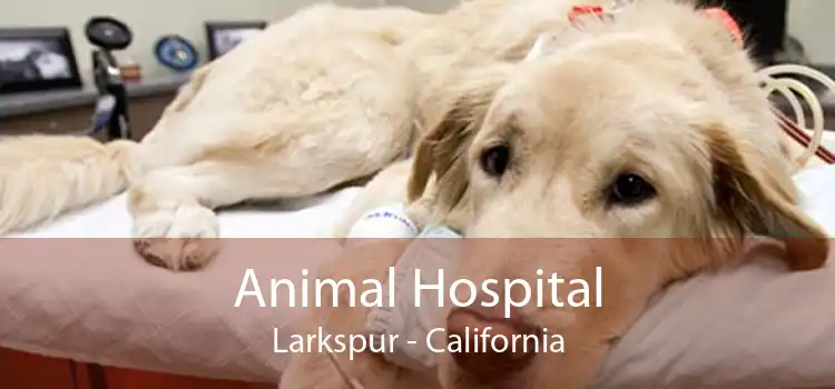 Animal Hospital Larkspur - California