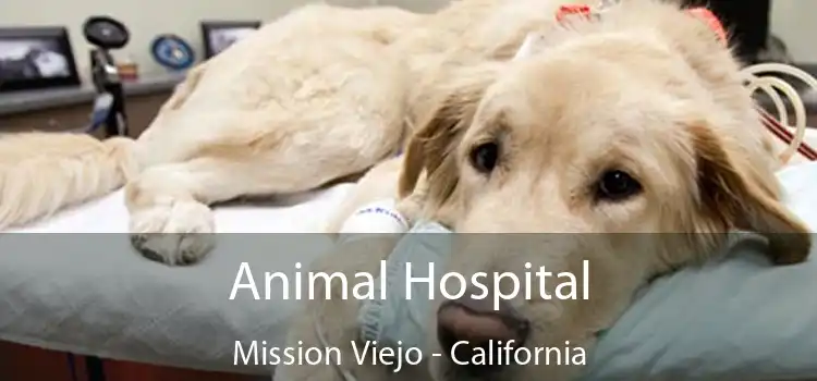 Animal Hospital Mission Viejo - California