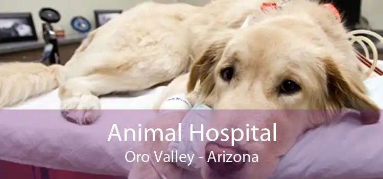 Animal Hospital Oro Valley - Arizona