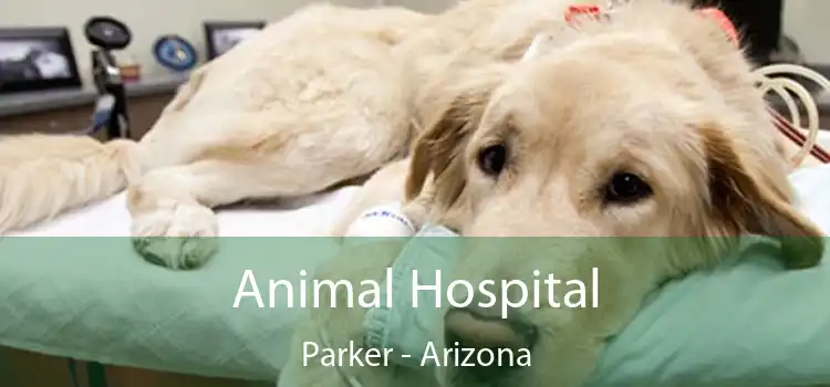 Animal Hospital Parker - Arizona