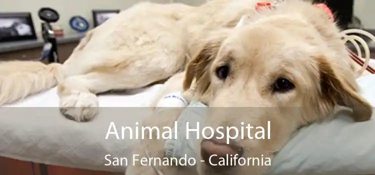 Animal Hospital San Fernando - California