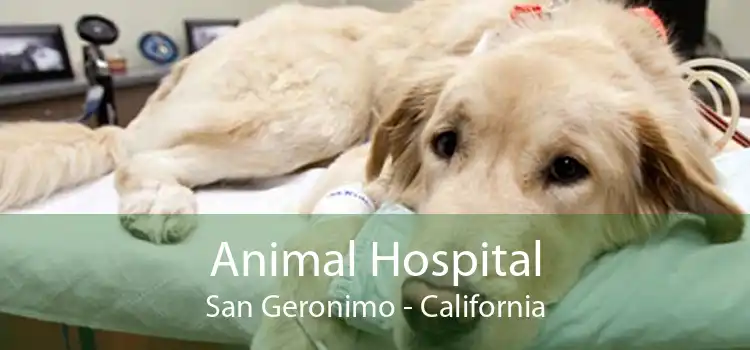 Animal Hospital San Geronimo - California