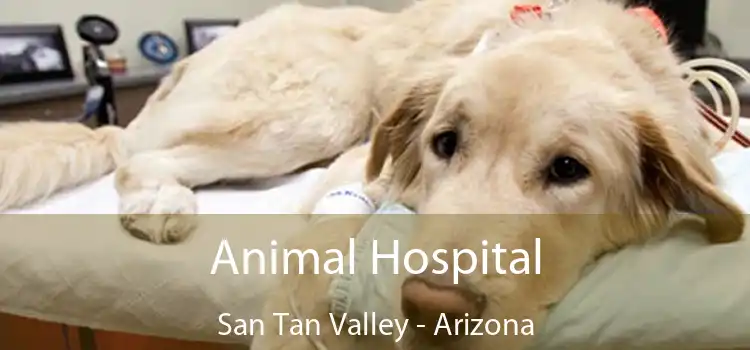 Animal Hospital San Tan Valley - Arizona