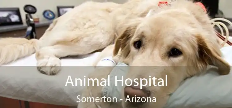 Animal Hospital Somerton - Arizona