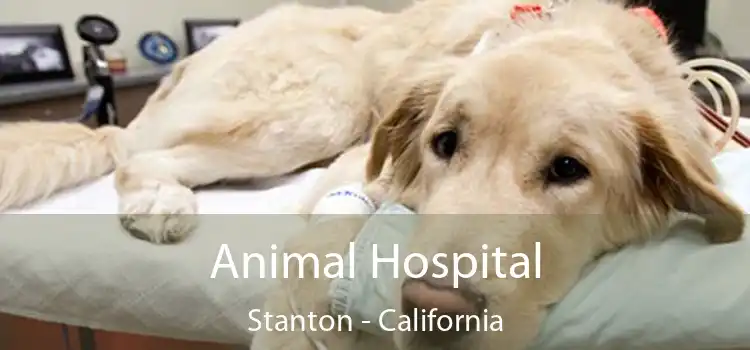 Animal Hospital Stanton - California