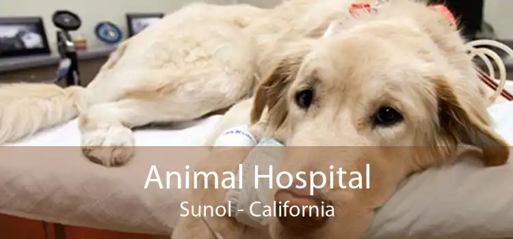Animal Hospital Sunol - California