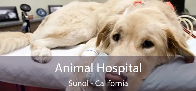 Animal Hospital Sunol - California