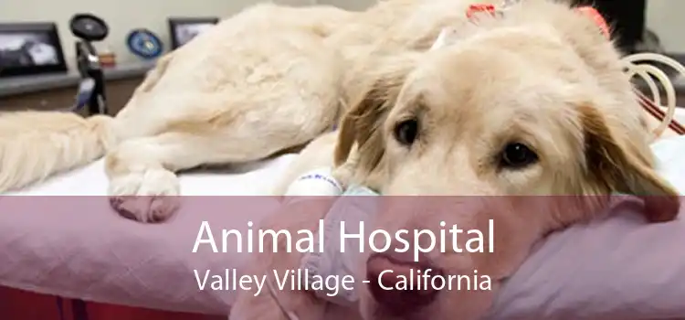 Animal Hospital Valley Village - California