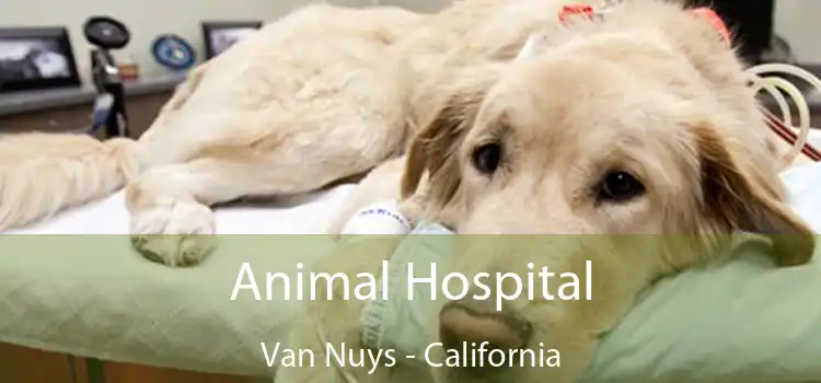 Animal Hospital Van Nuys - California