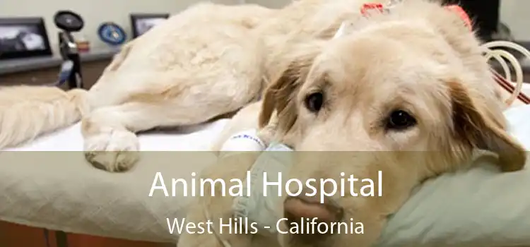 Animal Hospital West Hills - California