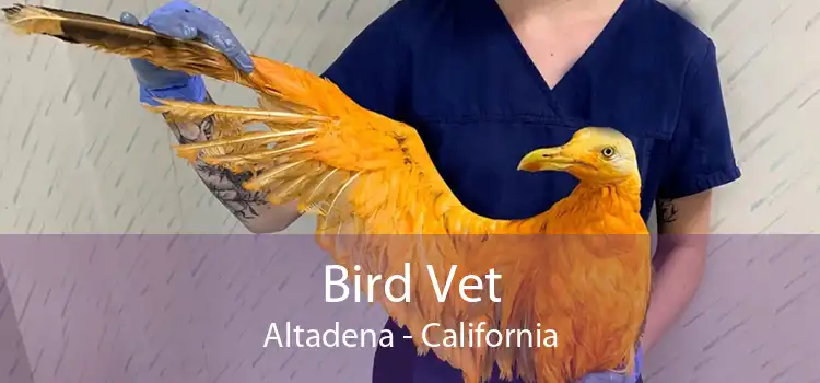 Bird Vet Altadena - California