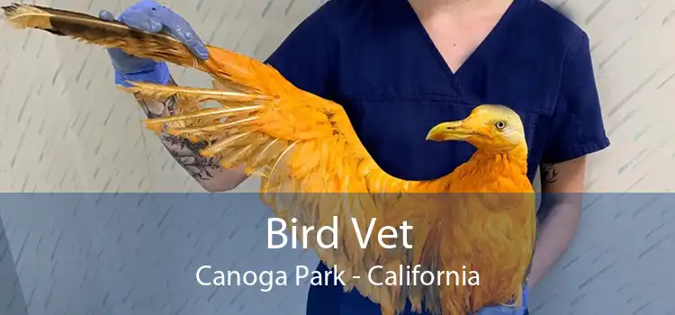 Bird Vet Canoga Park - California