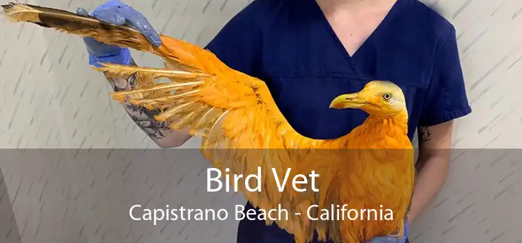 Bird Vet Capistrano Beach - California