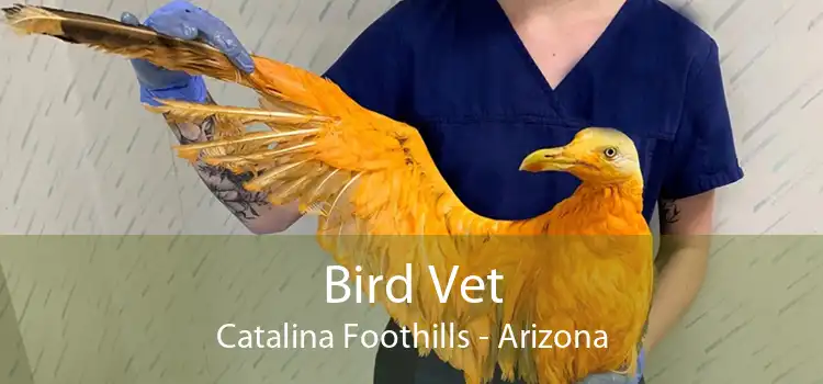 Bird Vet Catalina Foothills - Arizona