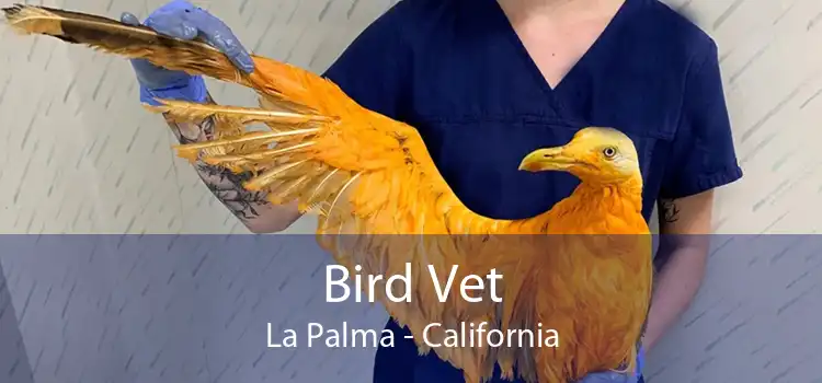 Bird Vet La Palma - California
