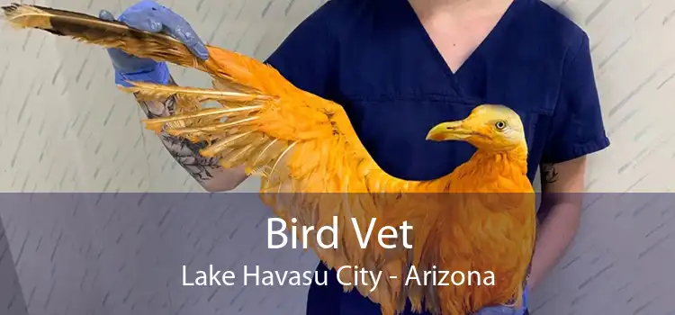 Bird Vet Lake Havasu City - Arizona