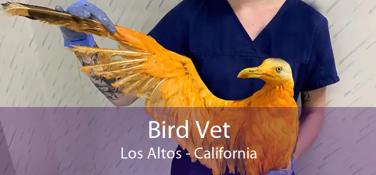 Bird Vet Los Altos - California