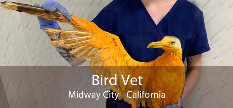 Bird Vet Midway City - California