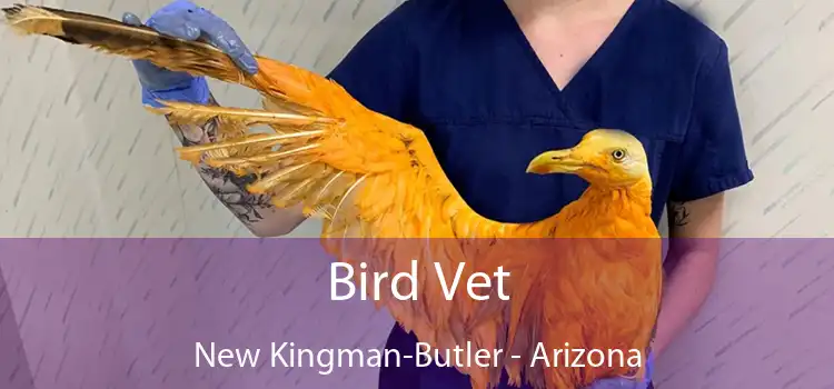 Bird Vet New Kingman-Butler - Arizona