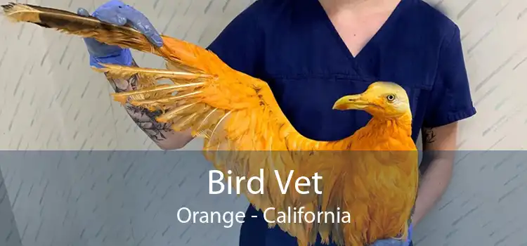 Bird Vet Orange - California
