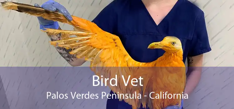 Bird Vet Palos Verdes Peninsula - California