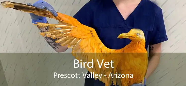 Bird Vet Prescott Valley - Arizona