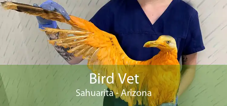 Bird Vet Sahuarita - Arizona