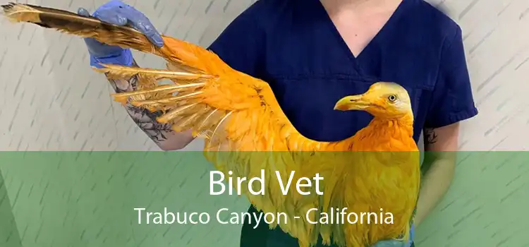 Bird Vet Trabuco Canyon - California