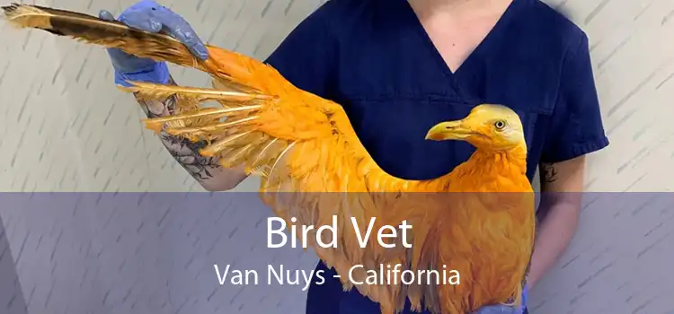 Bird Vet Van Nuys - California