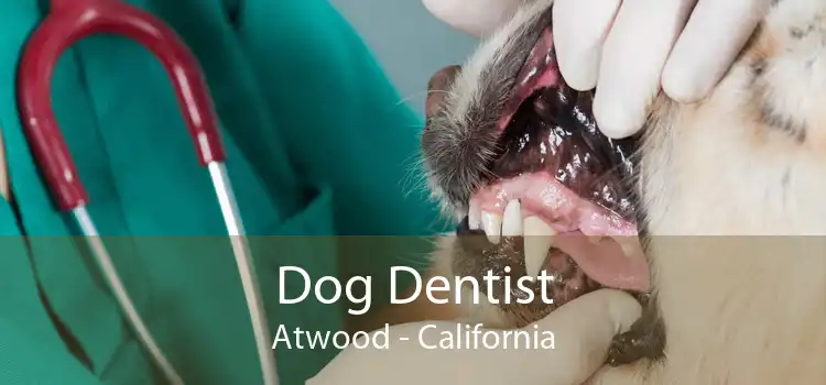Dog Dentist Atwood - California