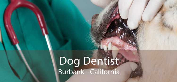 Dog Dentist Burbank - California