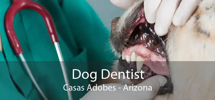 Dog Dentist Casas Adobes - Arizona