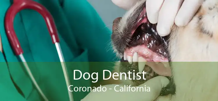 Dog Dentist Coronado - California