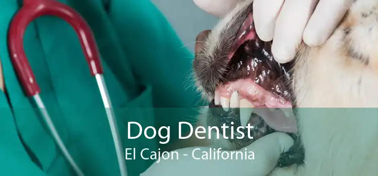Dog Dentist El Cajon - California