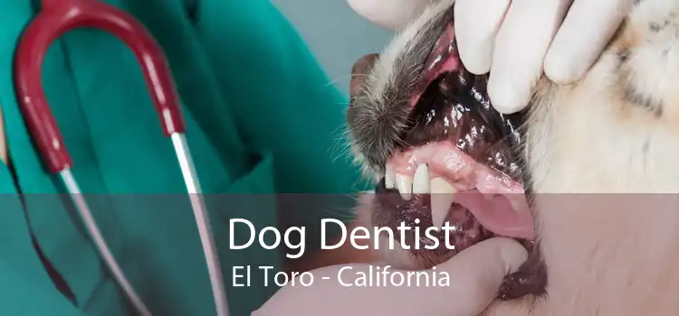 Dog Dentist El Toro - California