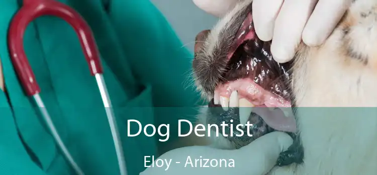 Dog Dentist Eloy - Arizona