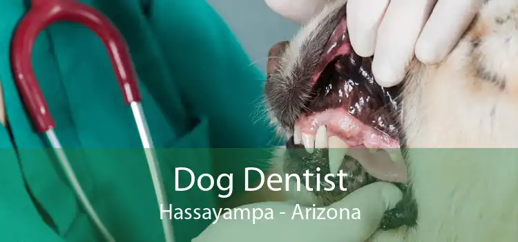 Dog Dentist Hassayampa - Arizona