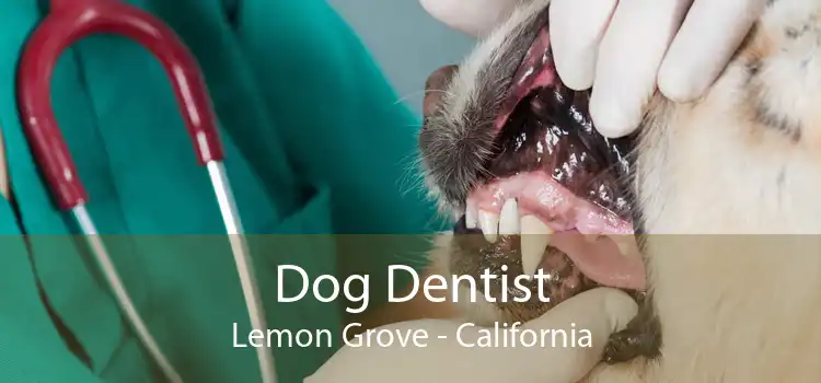 Dog Dentist Lemon Grove - California
