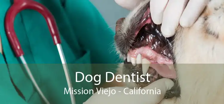 Dog Dentist Mission Viejo - California