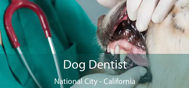 Dog Dentist National City - California