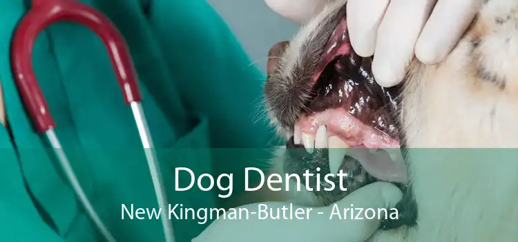 Dog Dentist New Kingman-Butler - Arizona